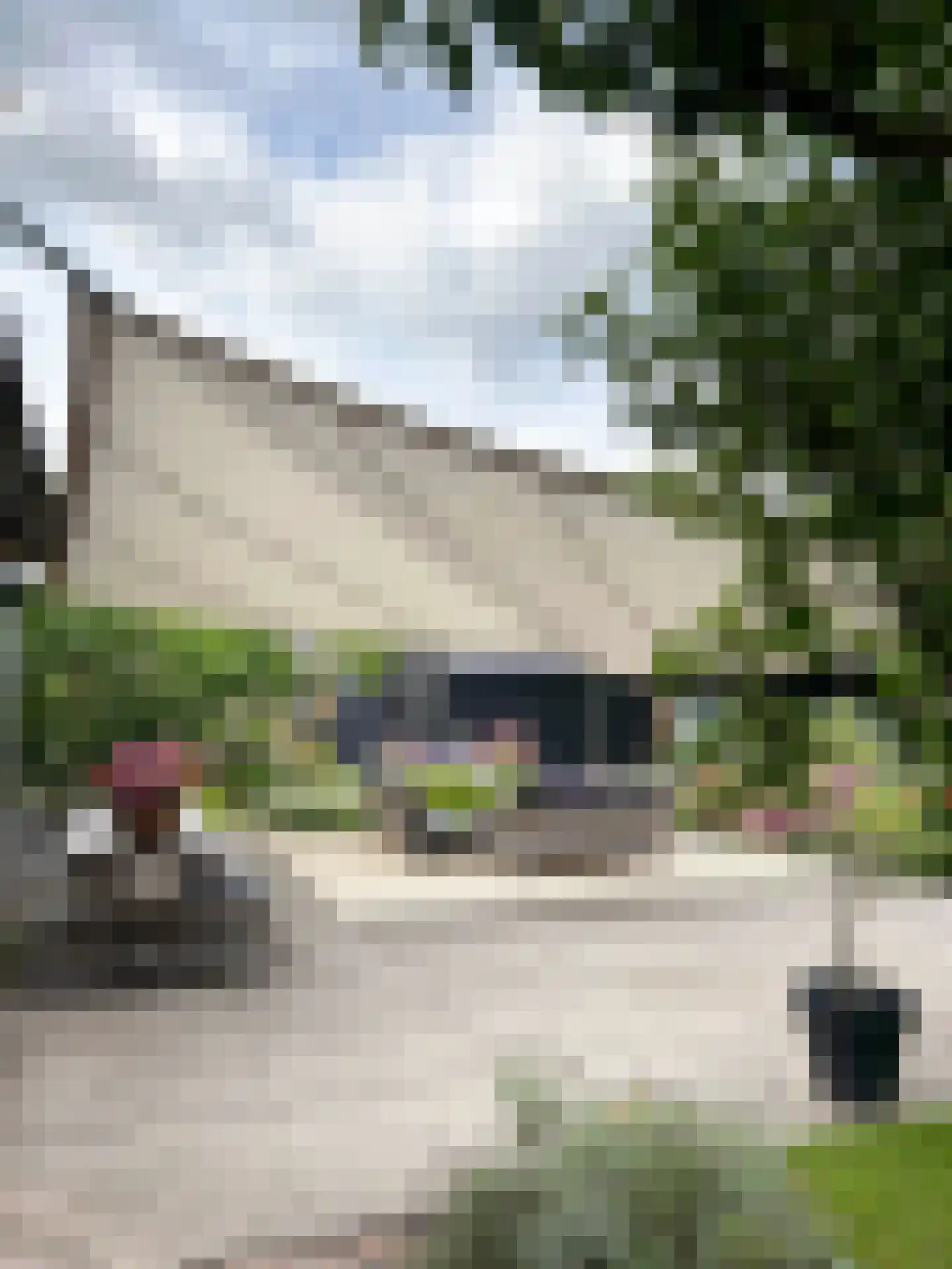 Boterstraat 4 Bronkhorst thumbnail 64