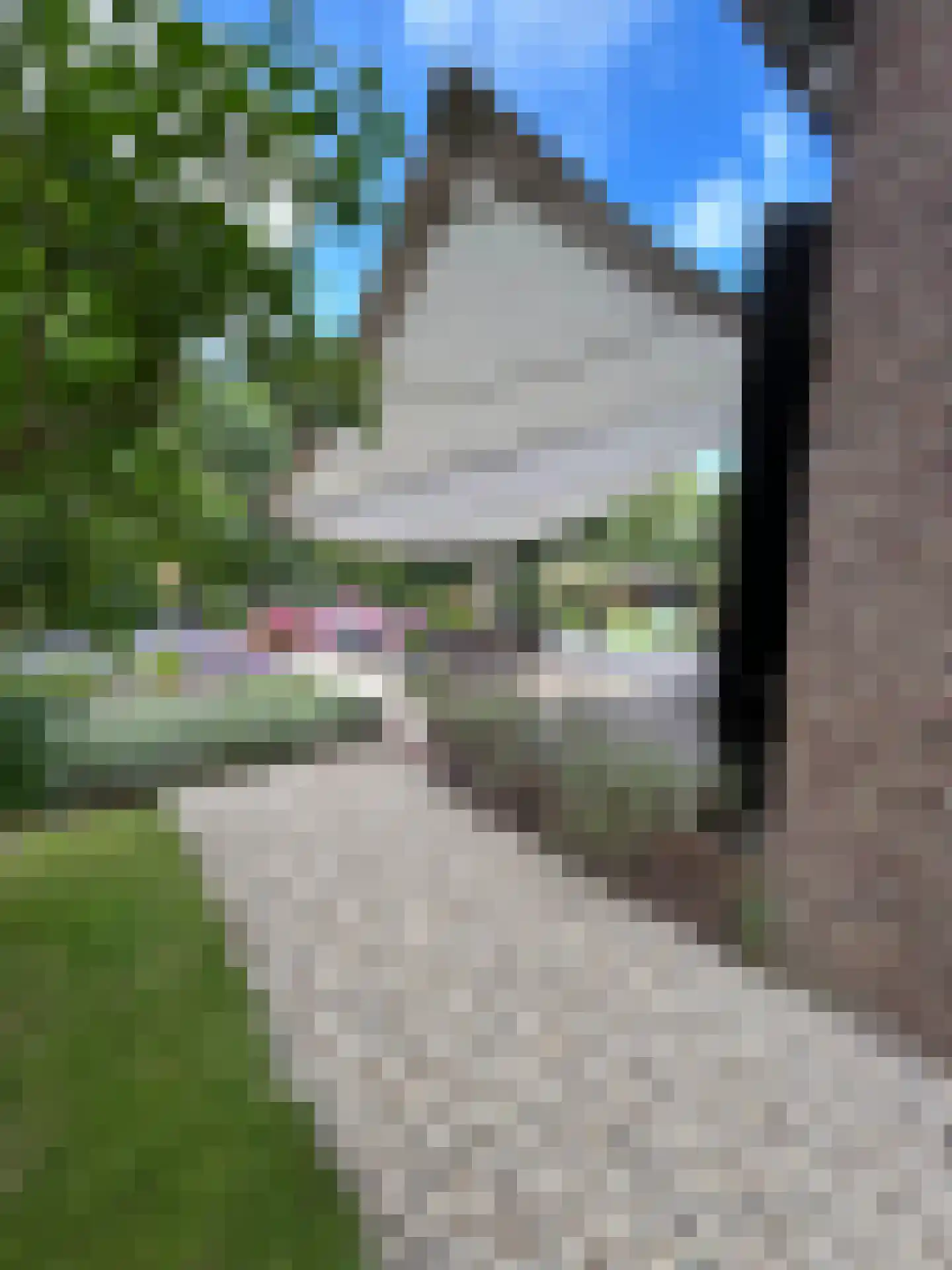 Boterstraat 4 Bronkhorst thumbnail 69