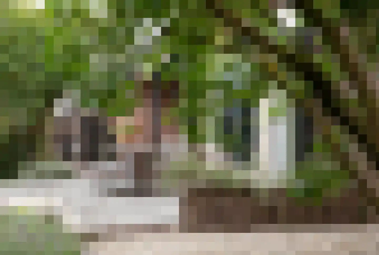 Boterstraat 4 Bronkhorst thumbnail 69