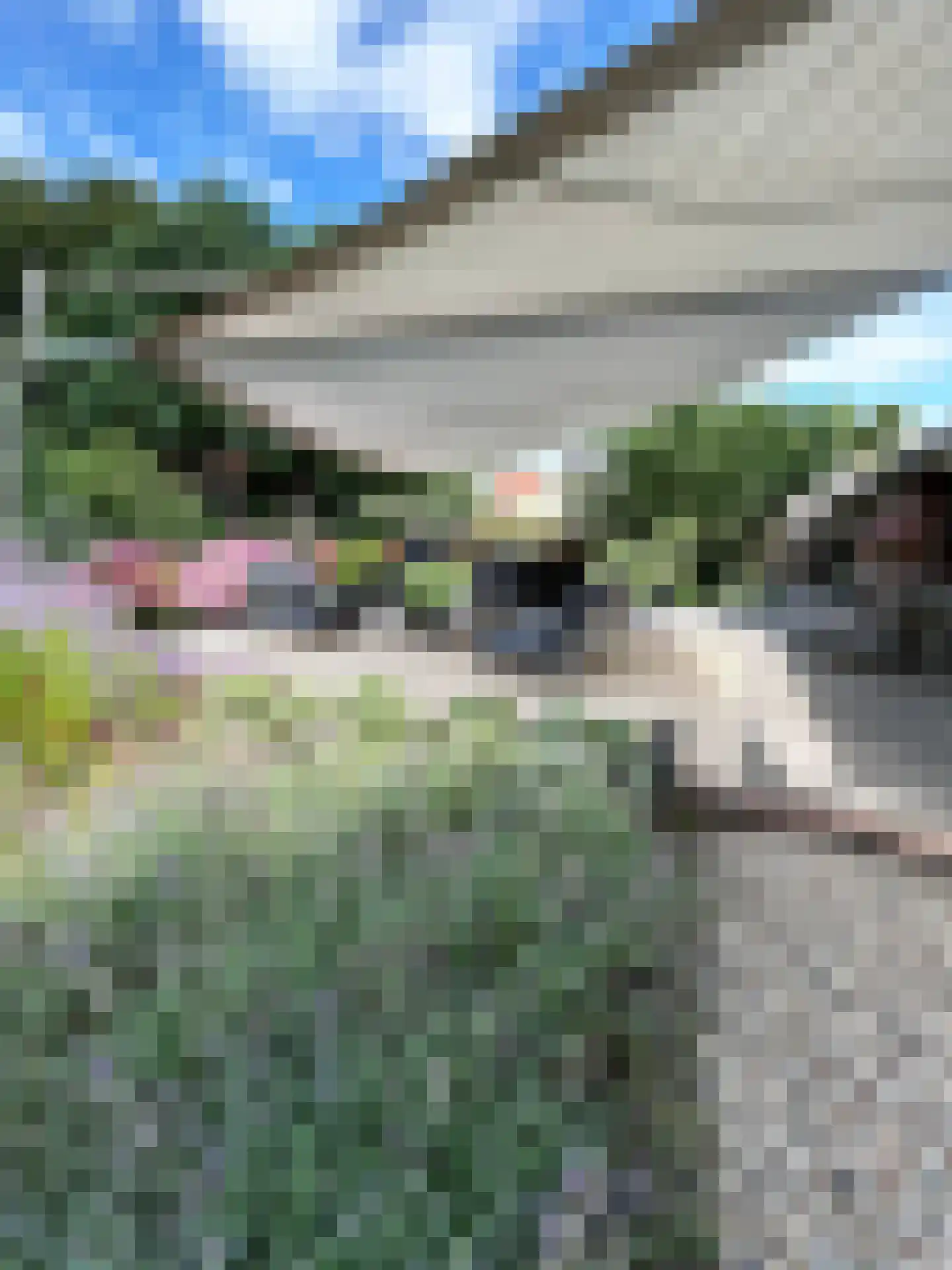 Boterstraat 4 Bronkhorst thumbnail 70