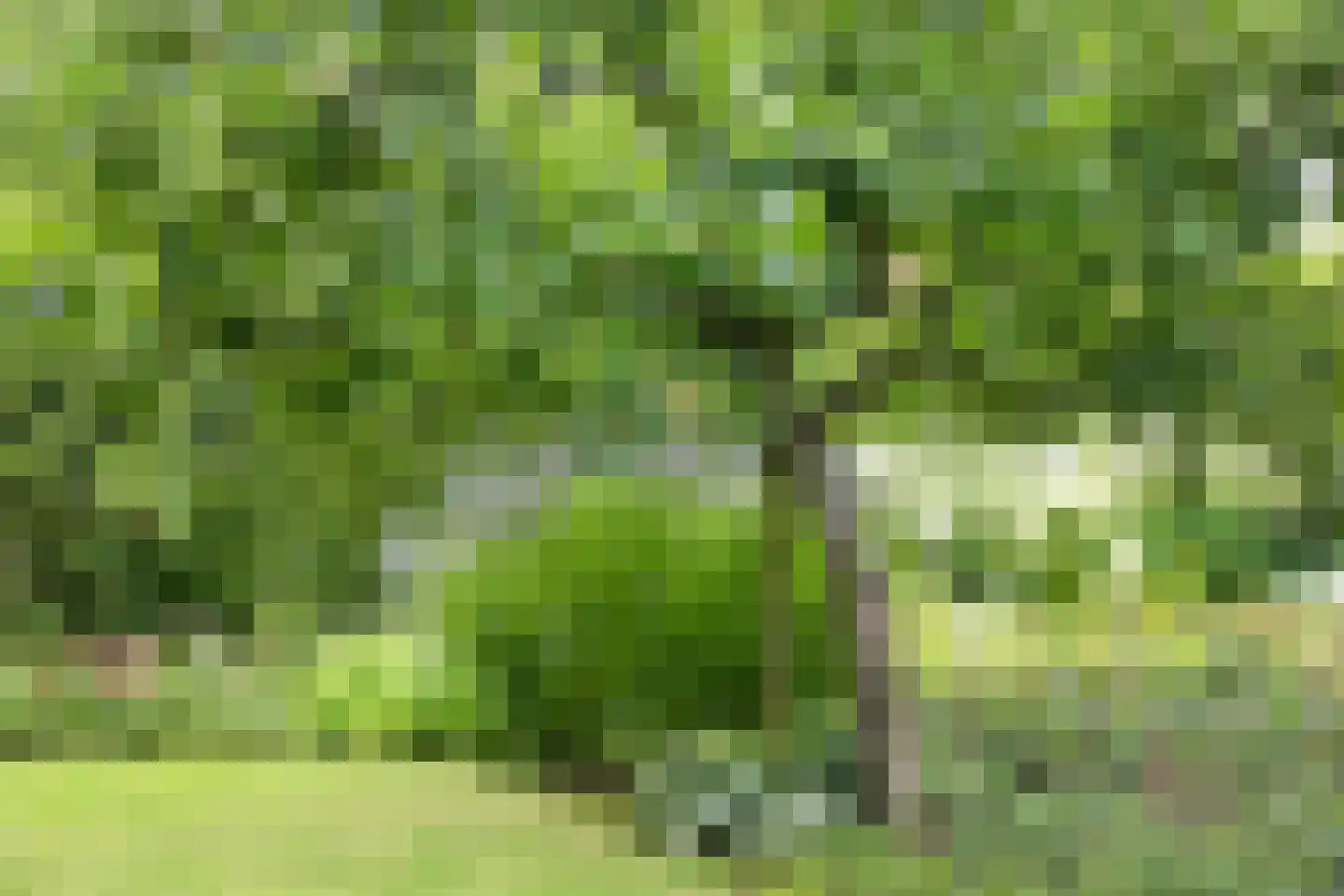 Boterstraat 4 Bronkhorst thumbnail 71