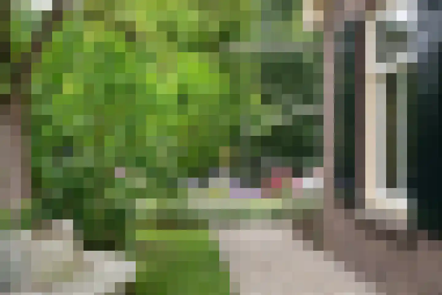 Boterstraat 4 Bronkhorst thumbnail 75