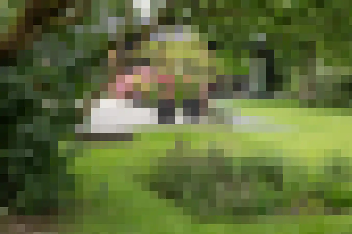 Boterstraat 4 Bronkhorst thumbnail 78