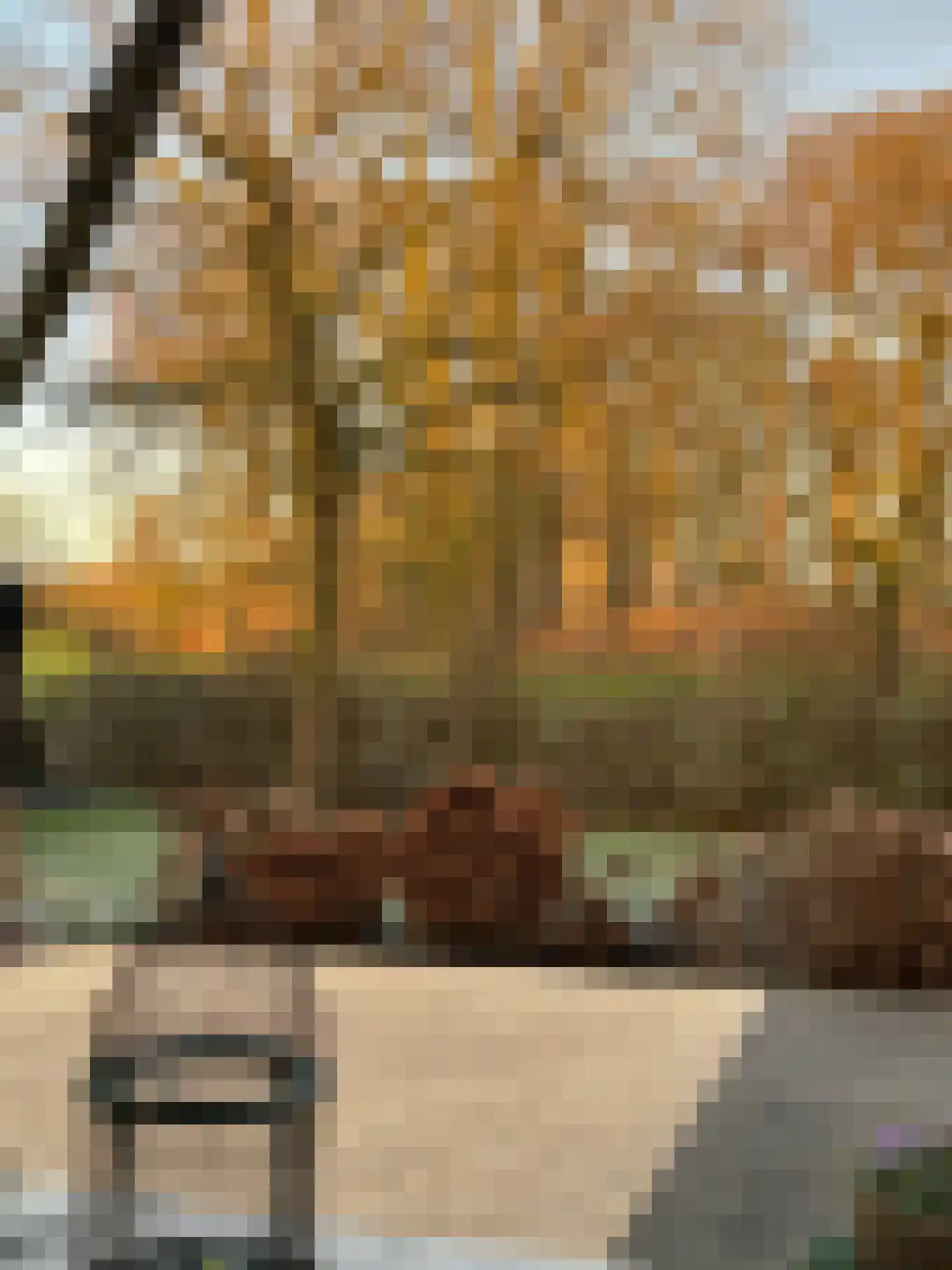 Boterstraat 4 Bronkhorst thumbnail 8