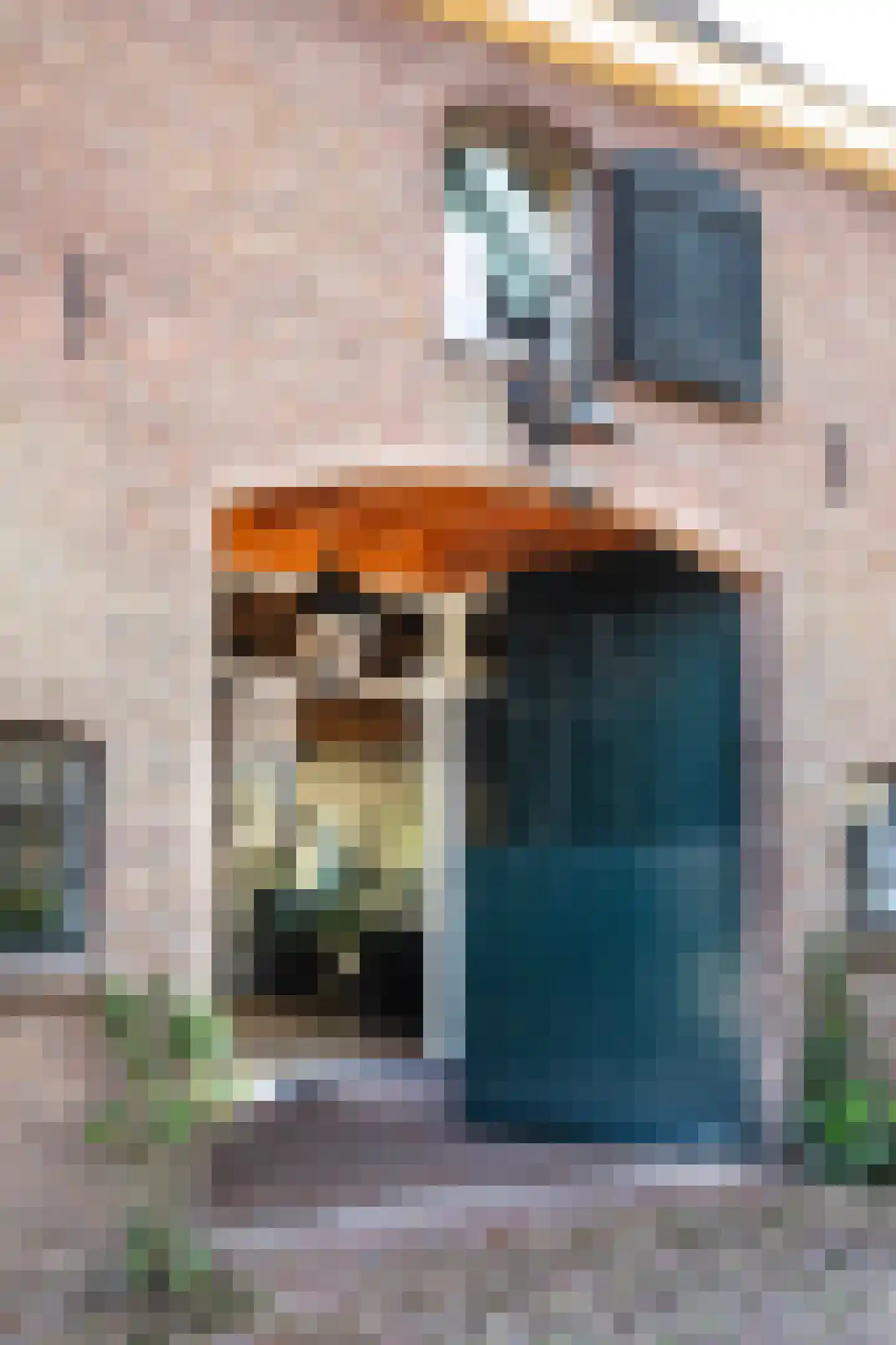 Boterstraat 4 Bronkhorst thumbnail 8