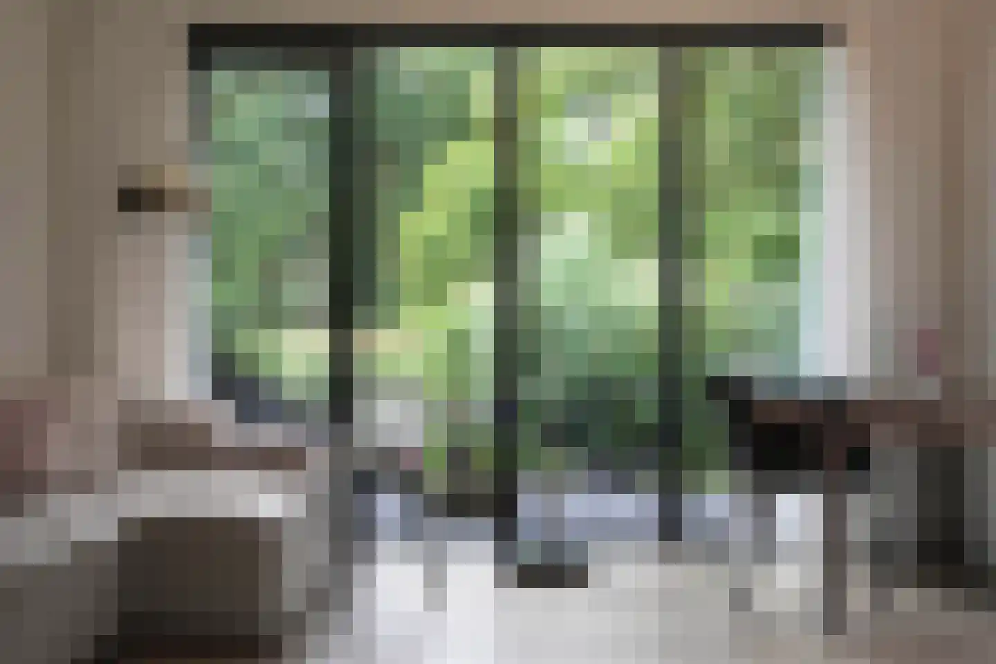 Boterstraat 4 Bronkhorst thumbnail 82
