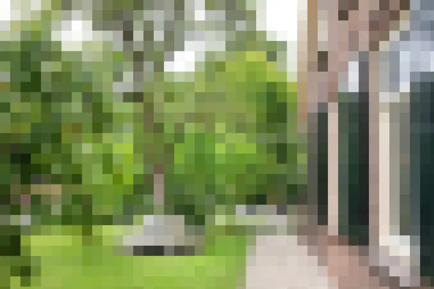 Boterstraat 4 Bronkhorst thumbnail 88