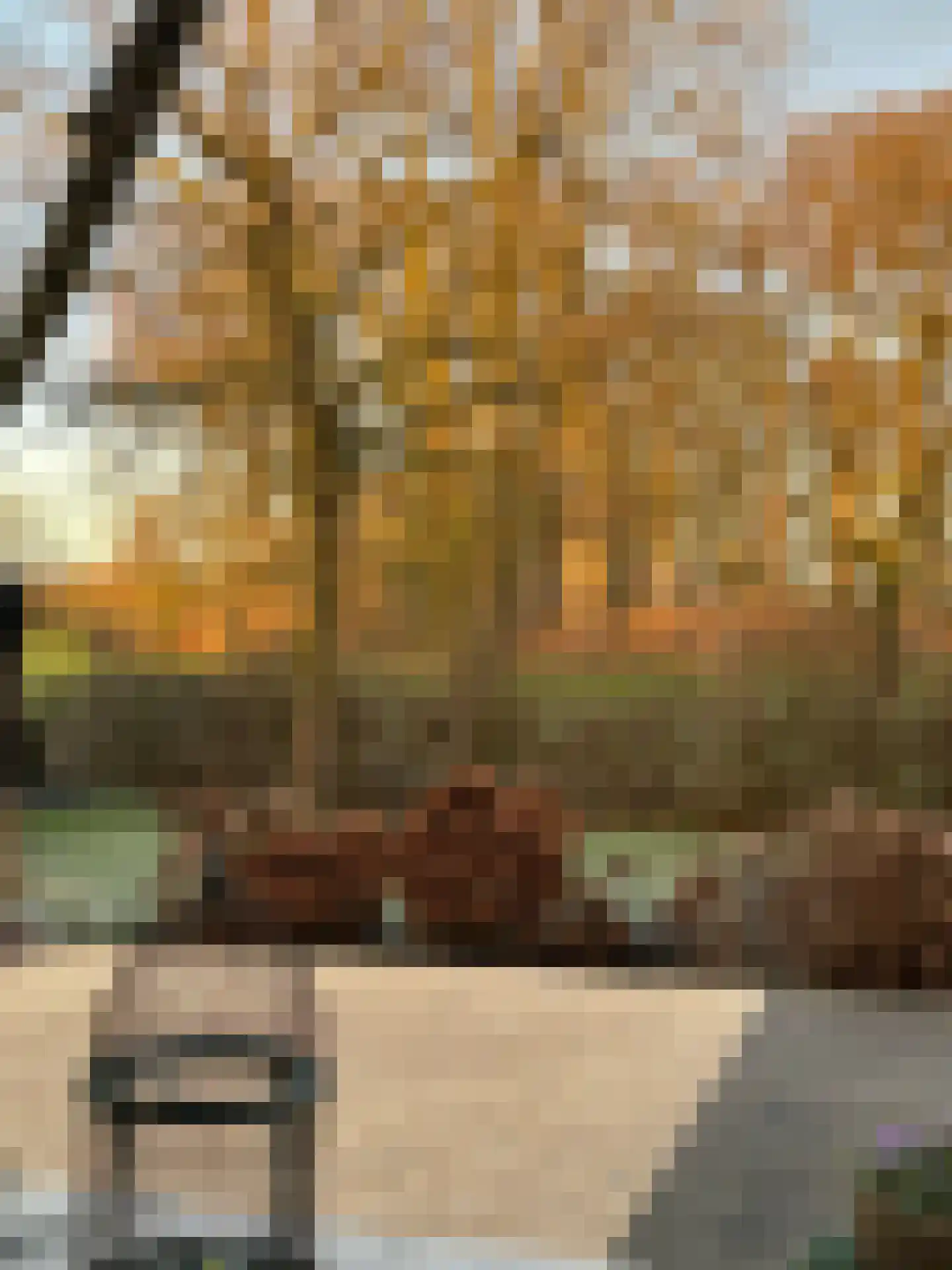 Boterstraat 4 Bronkhorst thumbnail 90