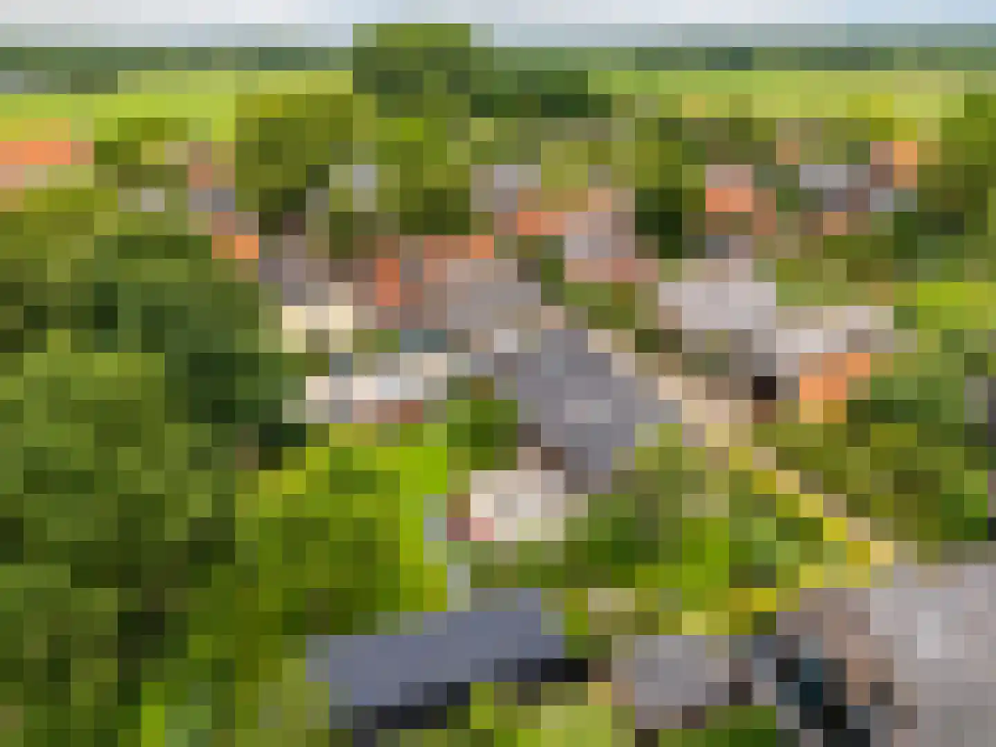 Boterstraat 4 Bronkhorst thumbnail 92