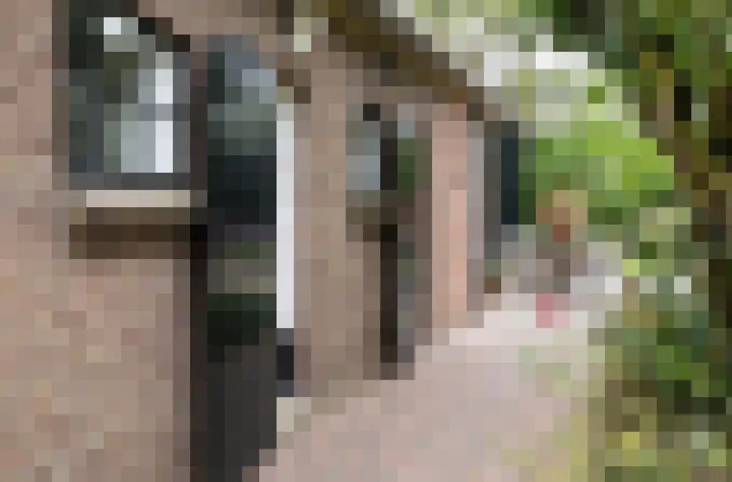 Boterstraat 4 Bronkhorst thumbnail 94