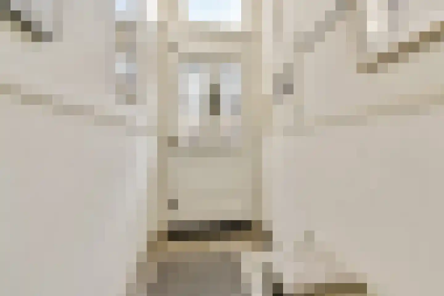Boterstraat 46 Schiedam thumbnail 31