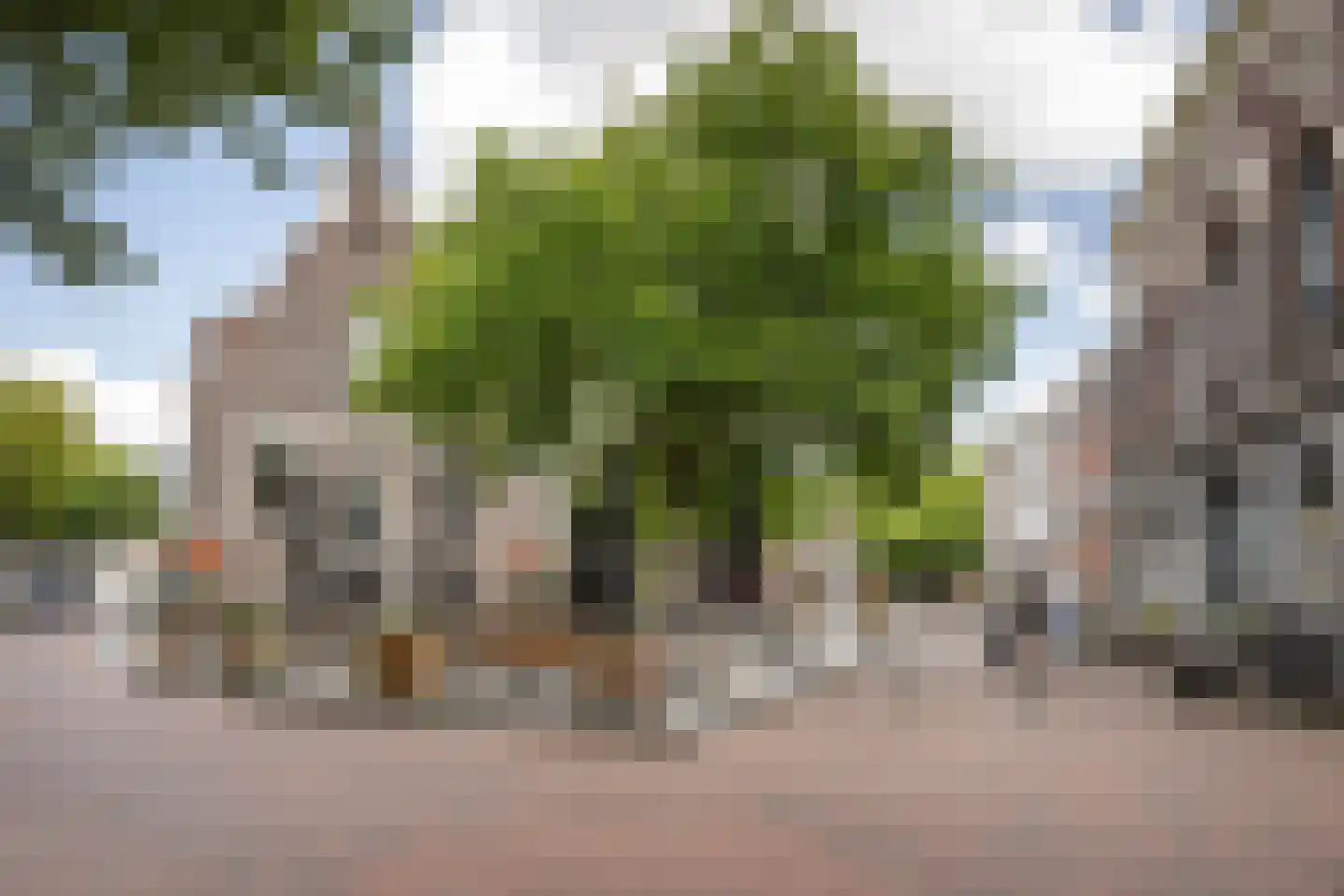 Boterstraat 48 C Schiedam thumbnail 20