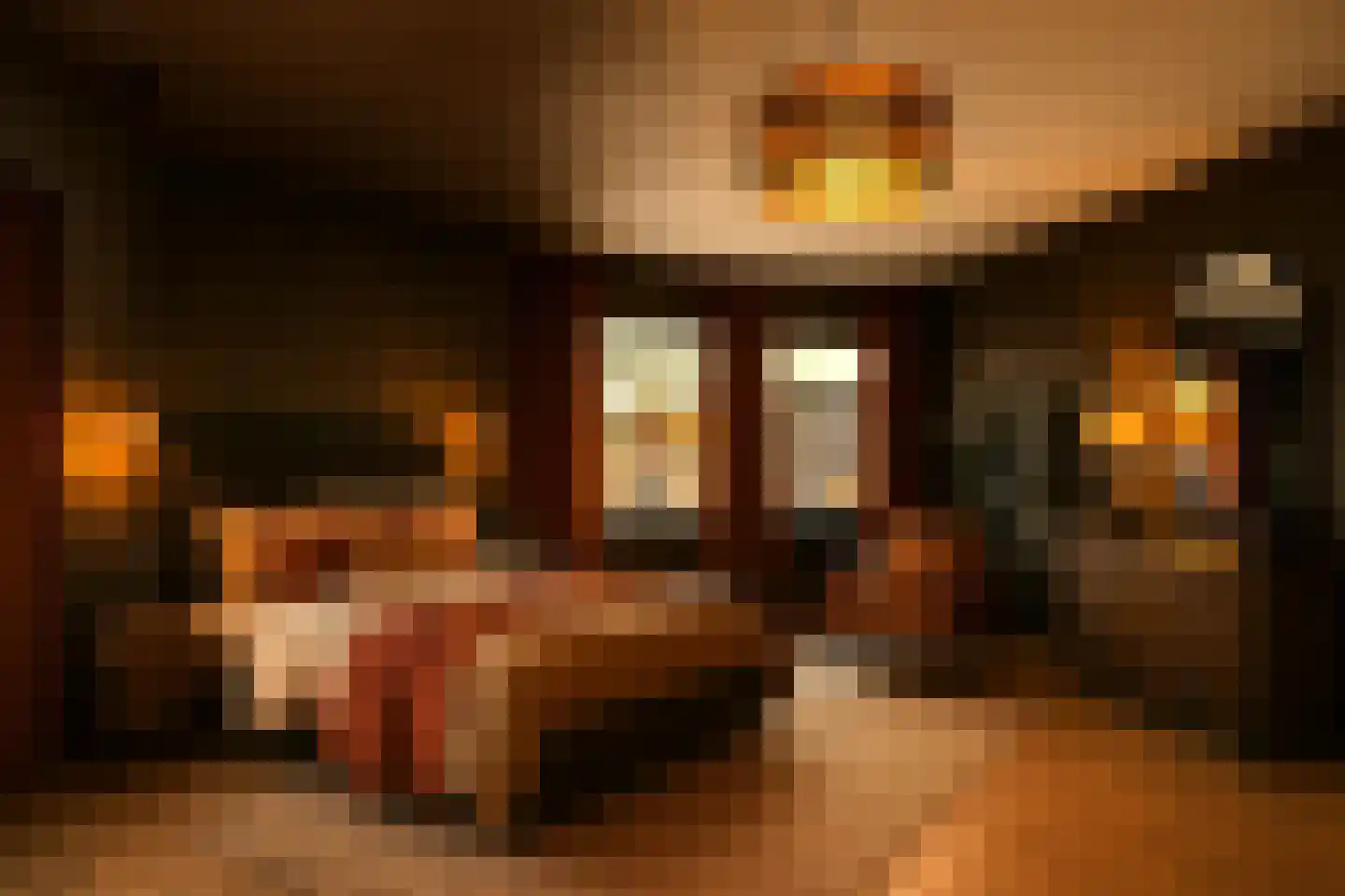 Boterstraat 48 H Schiedam thumbnail 20