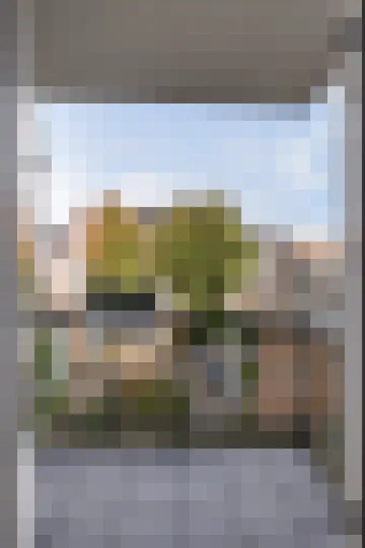 Boterstraat 54 B Schiedam thumbnail 9