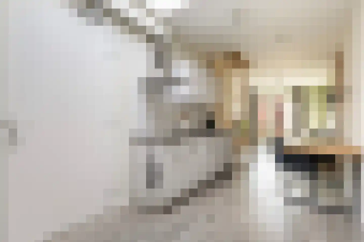 Boterstraat 7 B Dokkum thumbnail 26