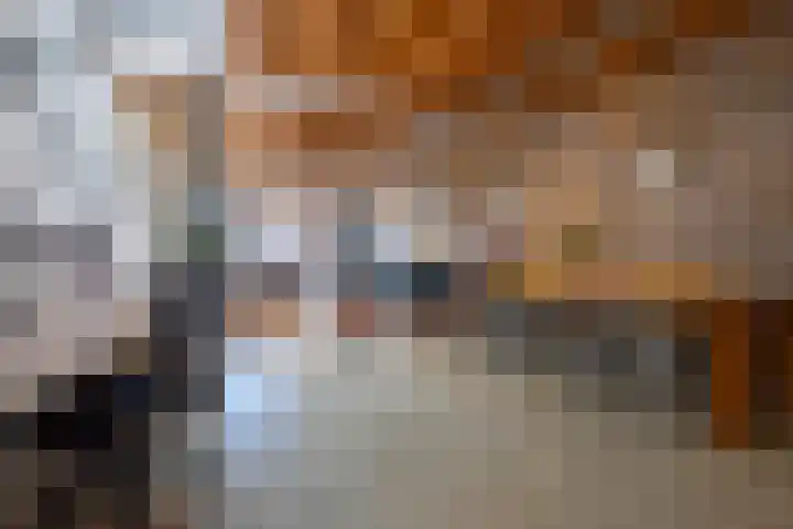 Boterstraat 72 Schiedam thumbnail 8