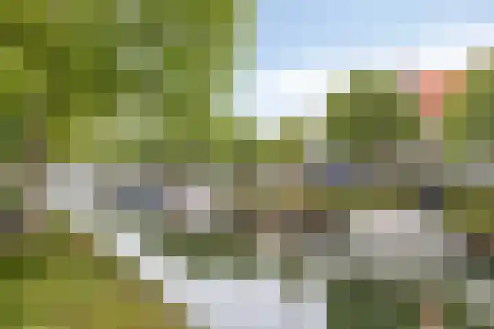 Boterstraat 8 Brielle thumbnail 21
