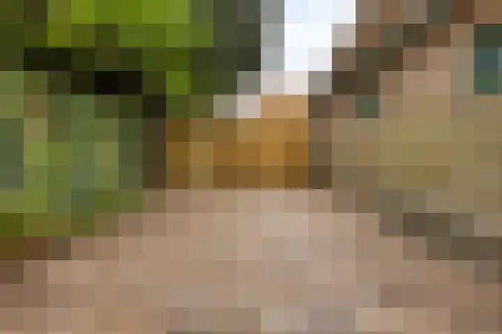 Boterstraat 8 Brielle thumbnail 5