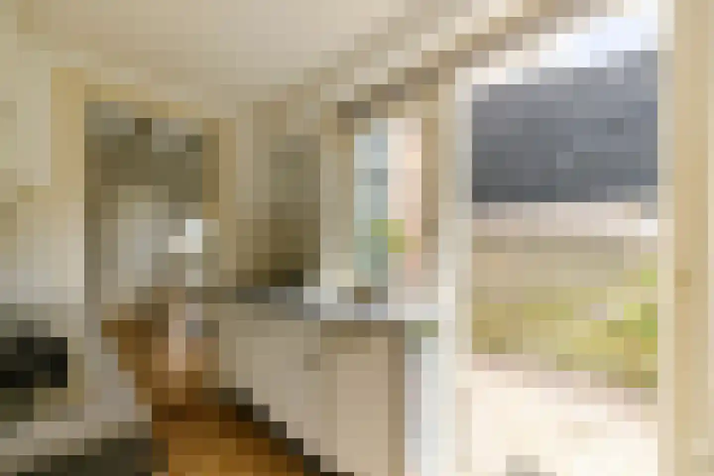 Boterstraat 8 Haarlem thumbnail 16
