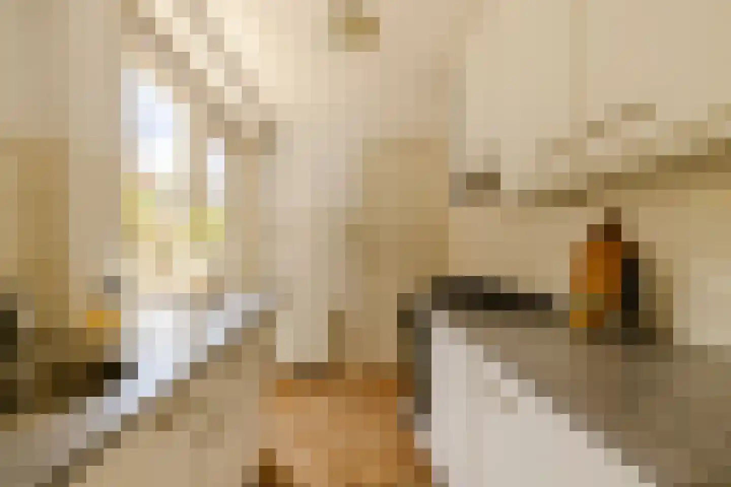 Boterstraat 8 Haarlem thumbnail 18