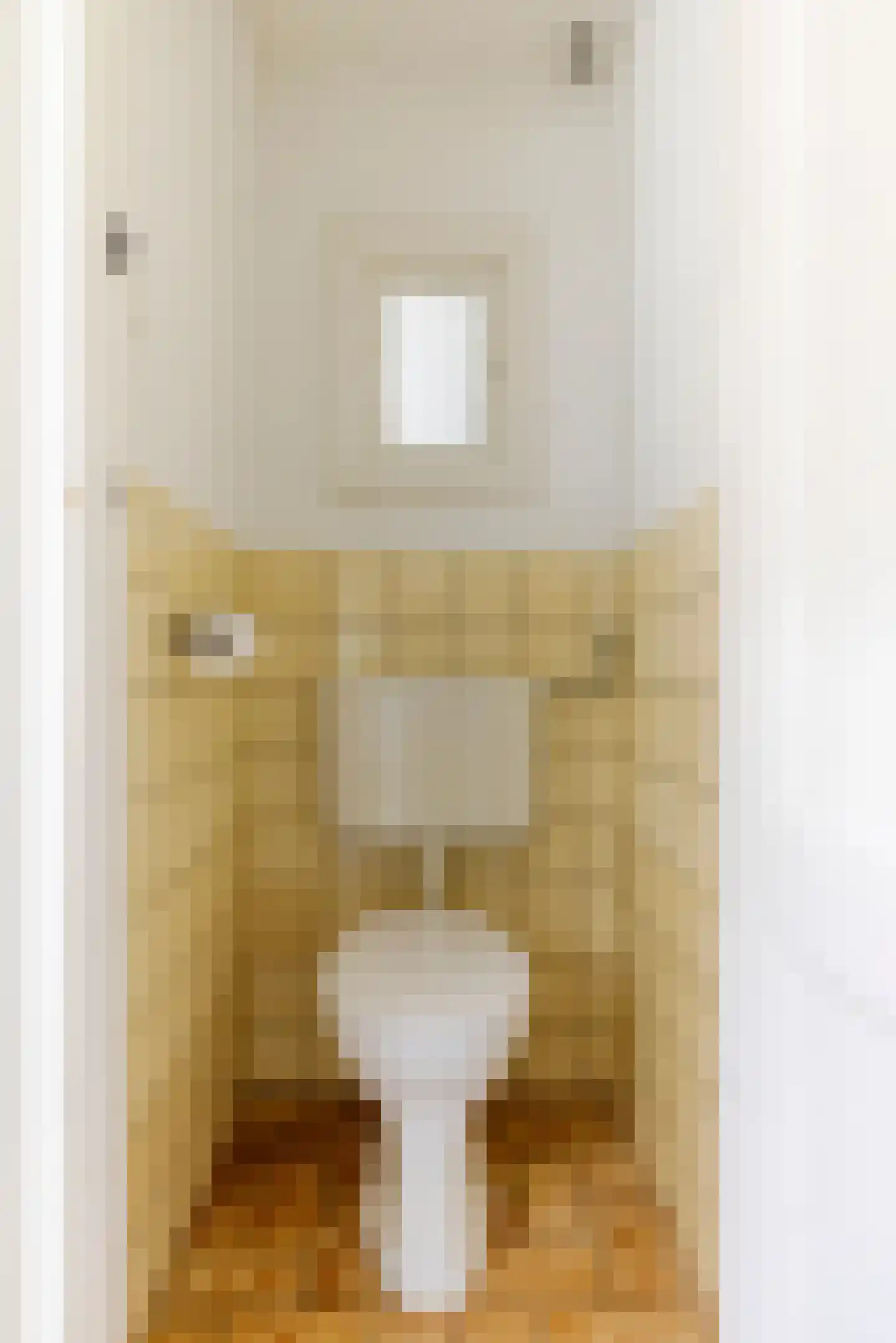 Boterstraat 8 Haarlem thumbnail 19