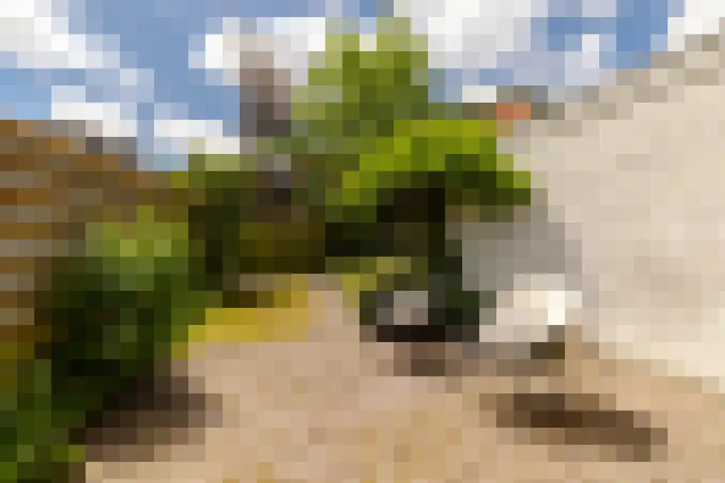 Boterstraat 8 Haarlem thumbnail 22