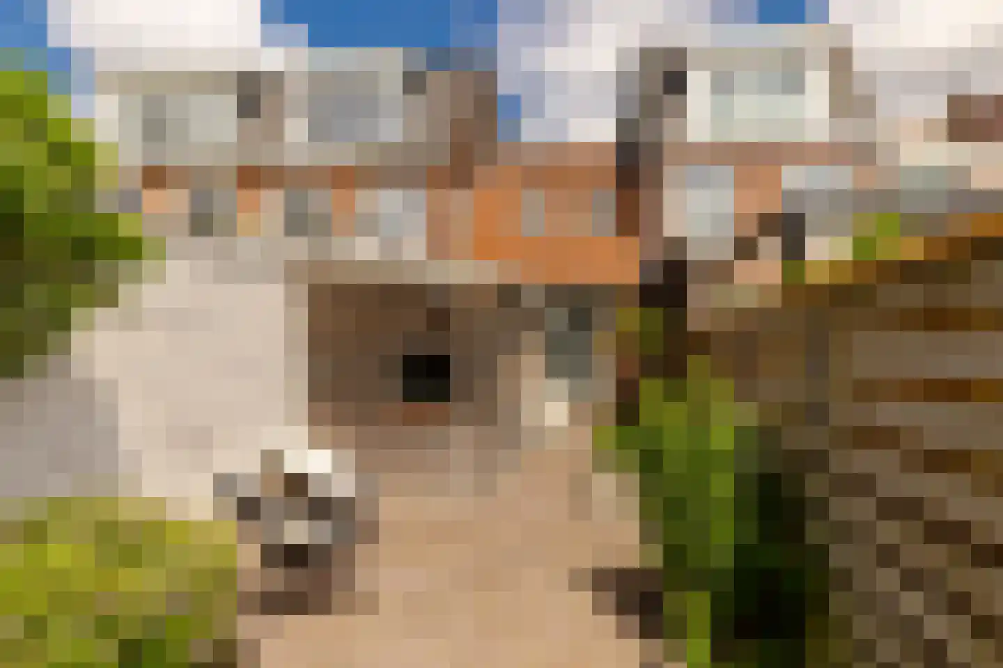 Boterstraat 8 Haarlem thumbnail 23
