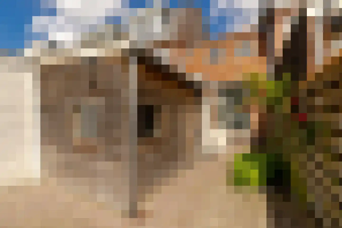 Boterstraat 8 Haarlem thumbnail 24