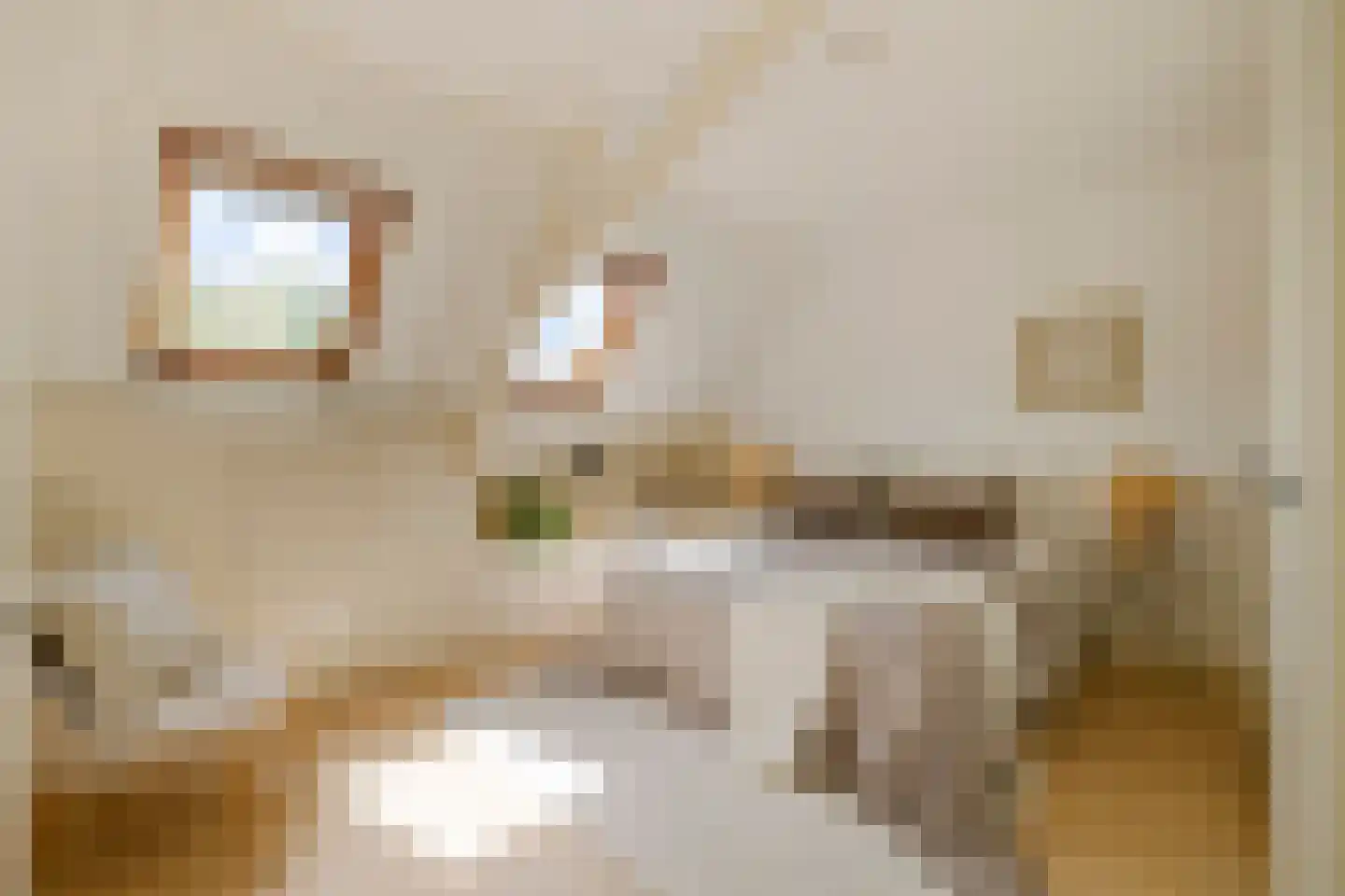 Boterstraat 8 Haarlem thumbnail 25