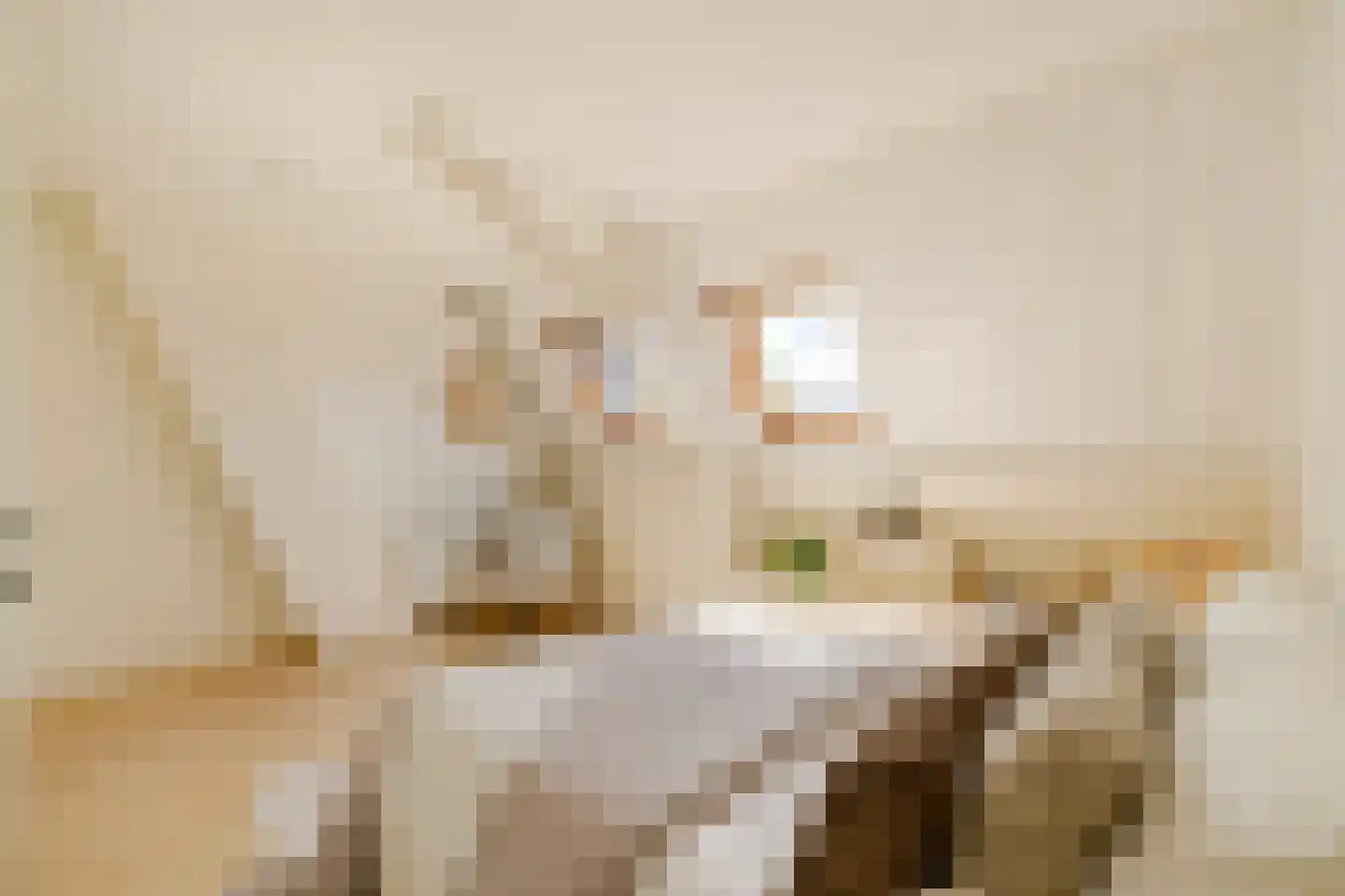Boterstraat 8 Haarlem thumbnail 26