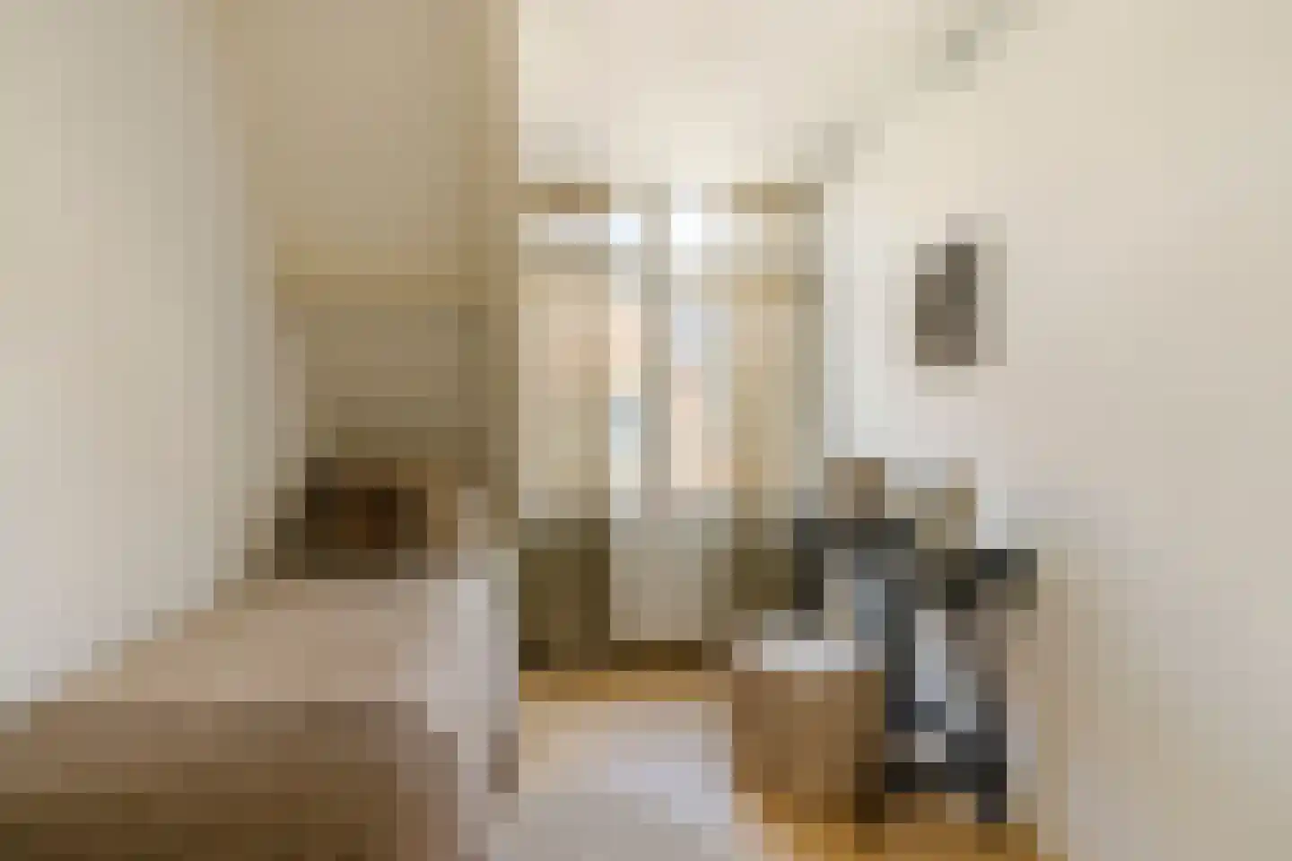 Boterstraat 8 Haarlem thumbnail 31