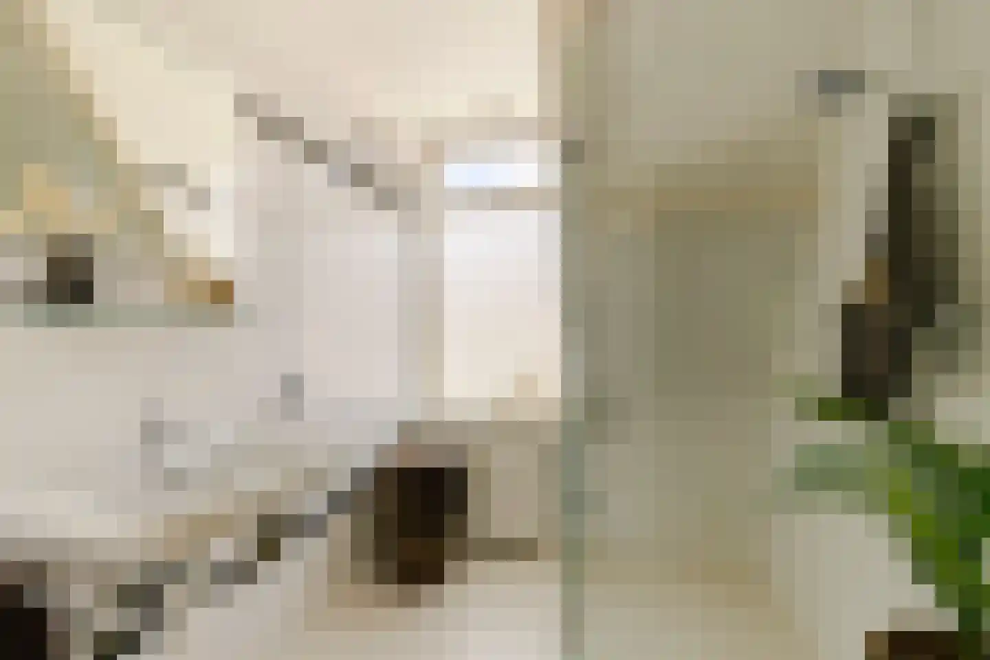 Boterstraat 8 Haarlem thumbnail 33