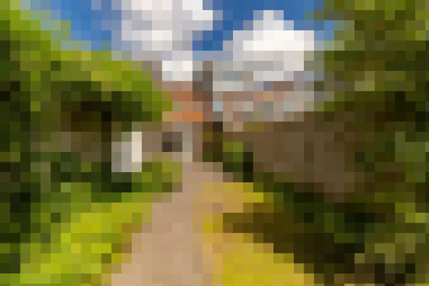 Boterstraat 8 Haarlem thumbnail 4