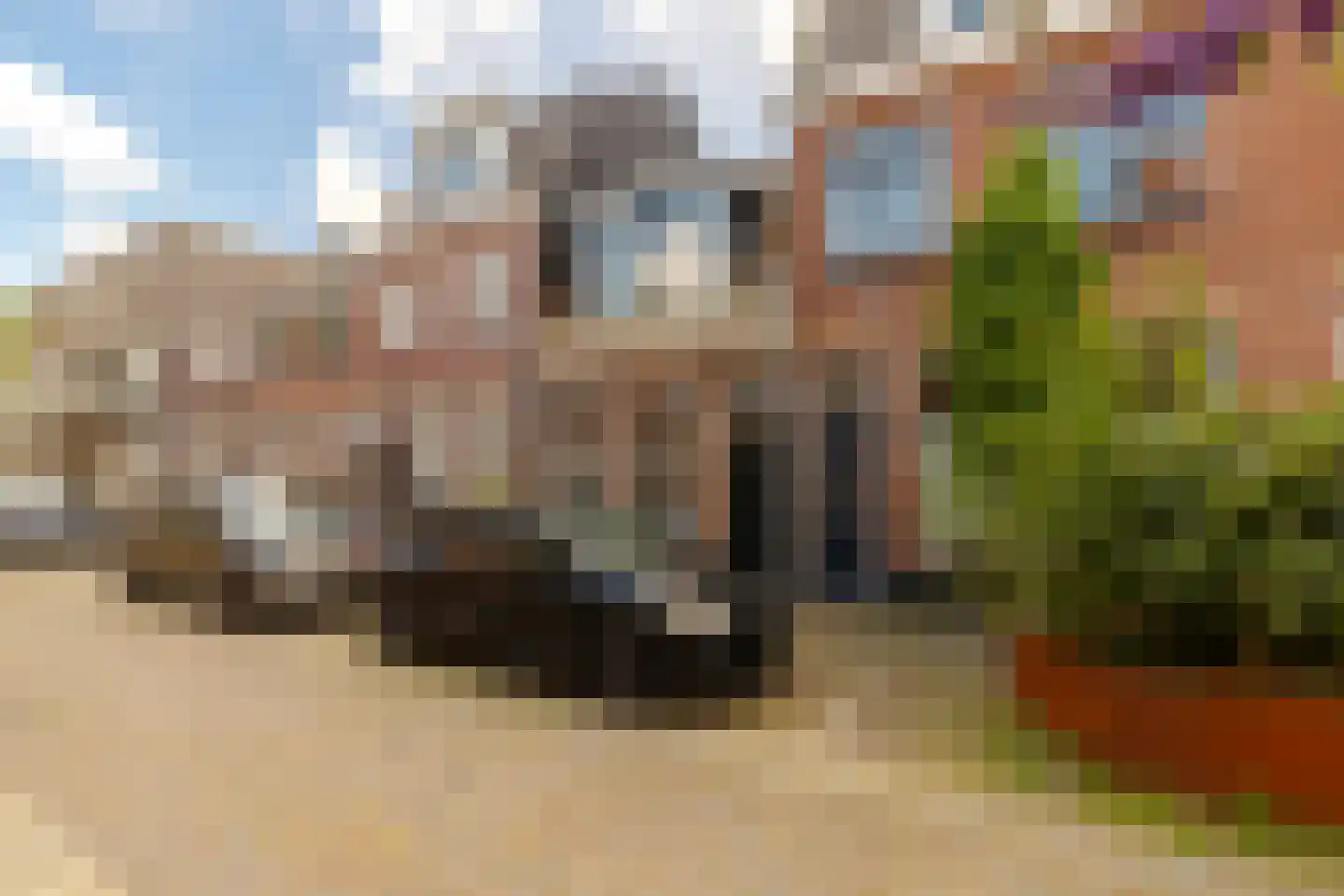 Boterstraat 8 Haarlem thumbnail 41