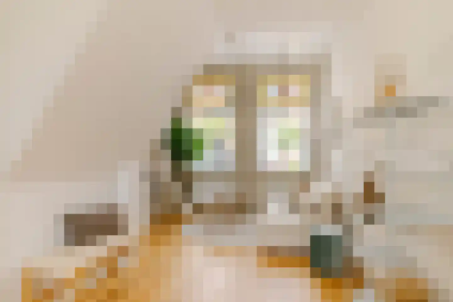 Boterstraat 8 Haarlem thumbnail 6