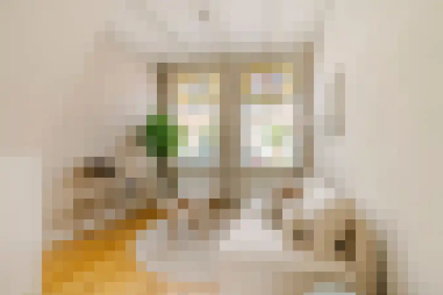 Boterstraat 8 Haarlem thumbnail 7