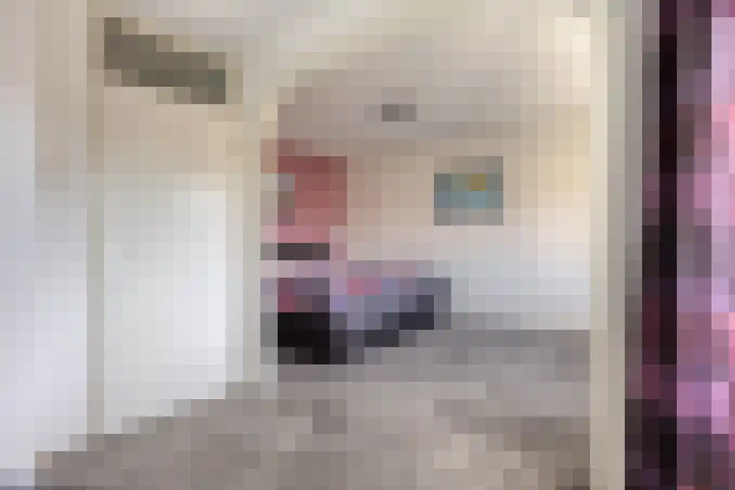 Botertonstraat 25 Purmerend thumbnail 17