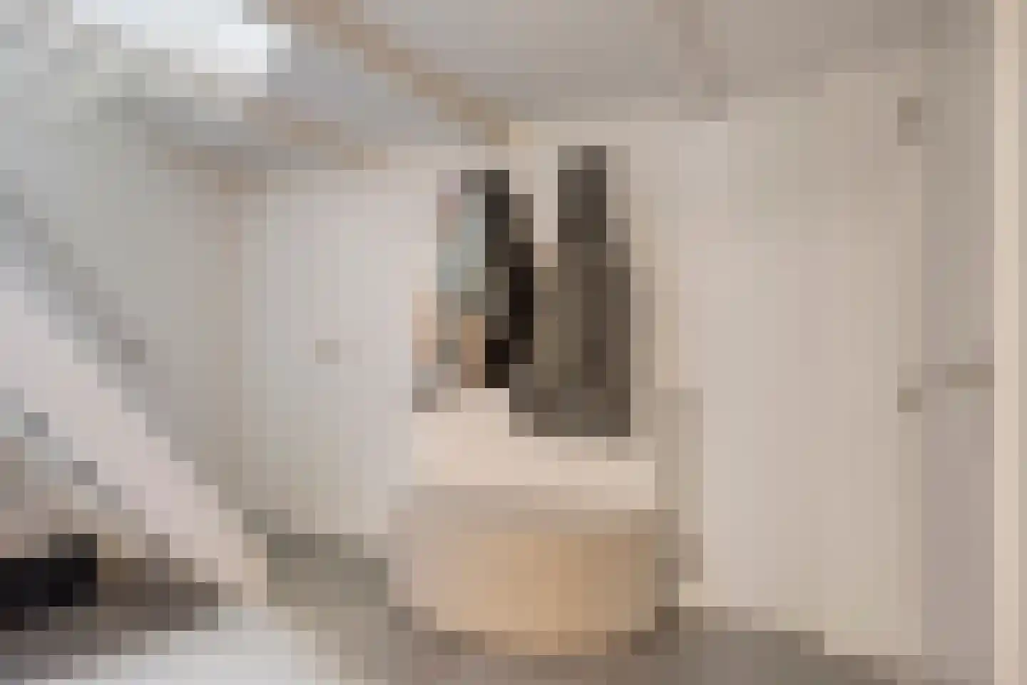 Botervatsteeg 1 A Kampen thumbnail 17