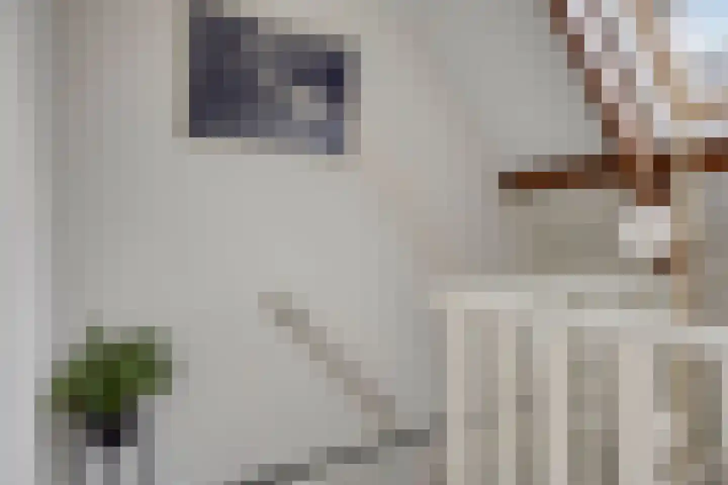 Botervatsteeg 1 A Kampen thumbnail 36