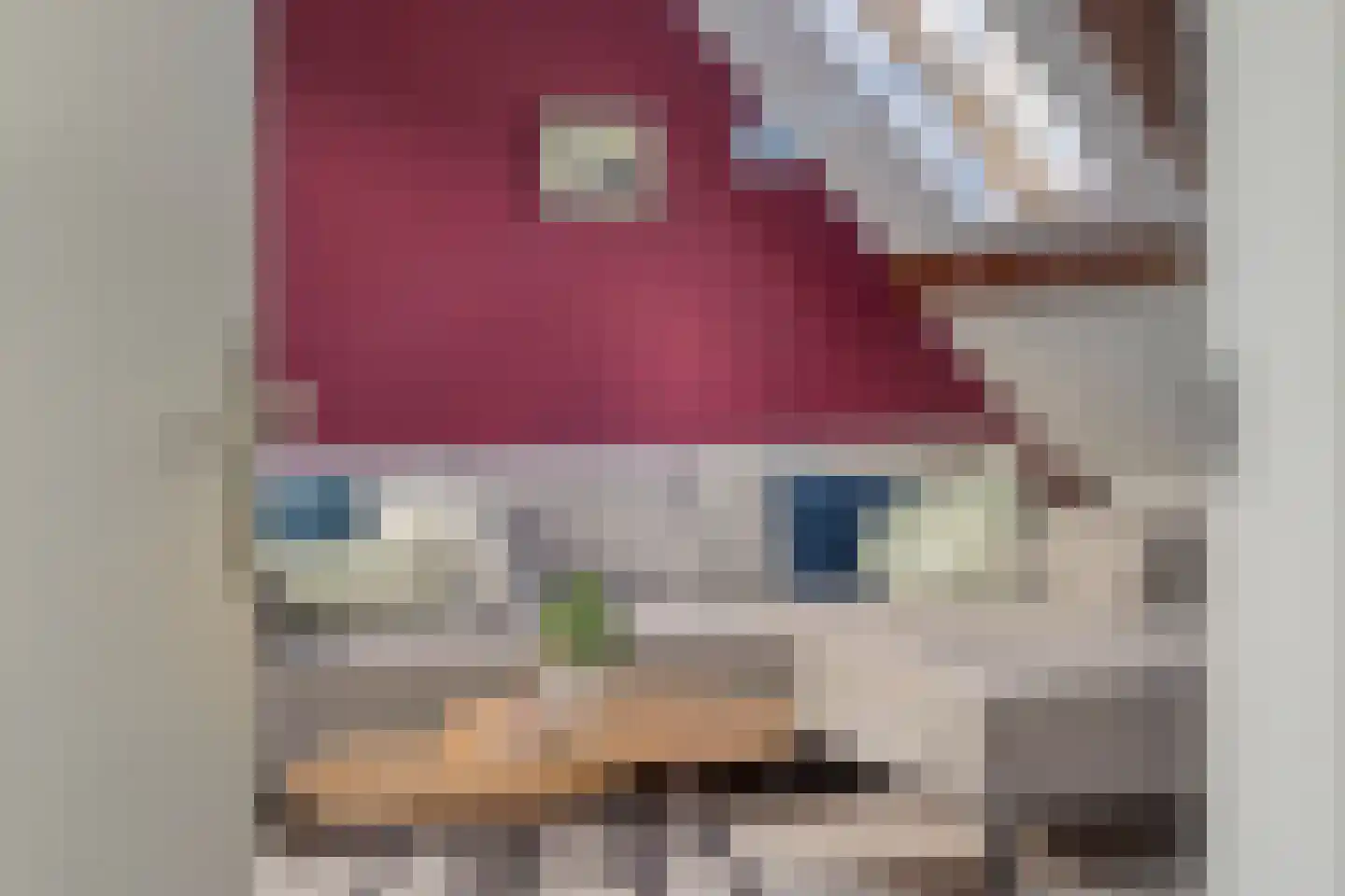 Botervatsteeg 1 A Kampen thumbnail 40