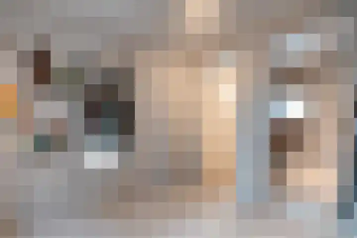 Botervatsteeg 6 Kampen thumbnail 13