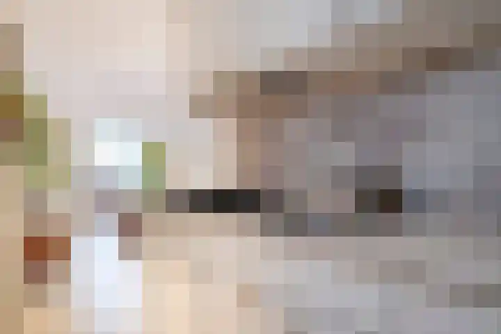 Botervatsteeg 6 Kampen thumbnail 7