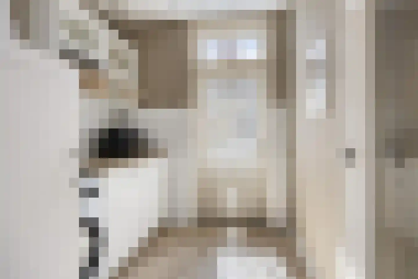 Botervatsteeg 7 Kampen thumbnail 23