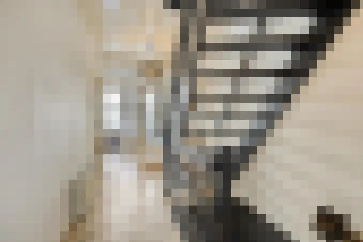 Botervatsteeg 7 Kampen thumbnail 25