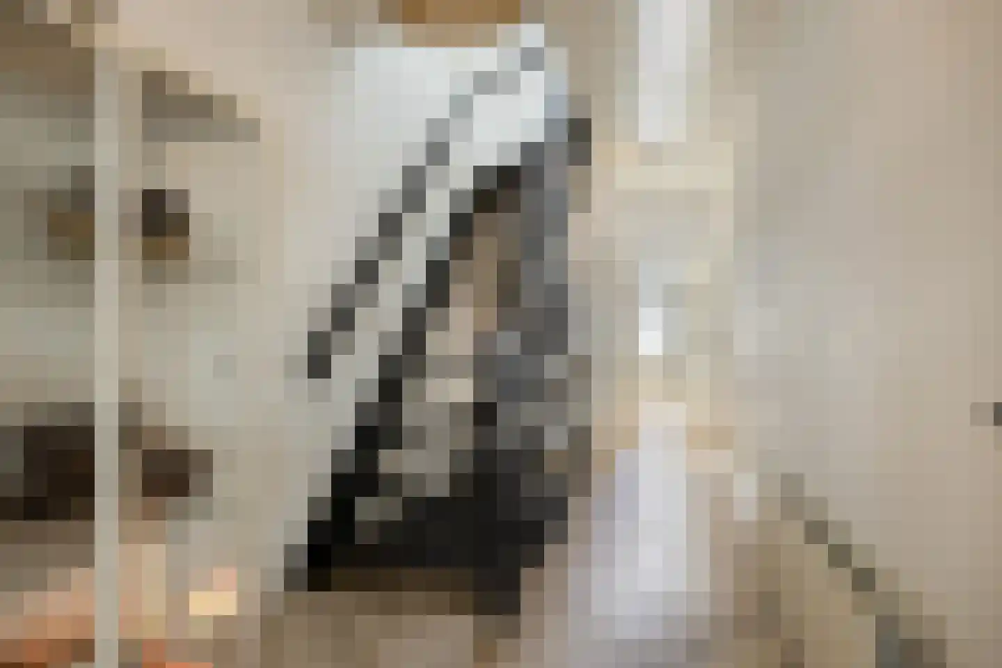 Botervatsteeg 7 Kampen thumbnail 26
