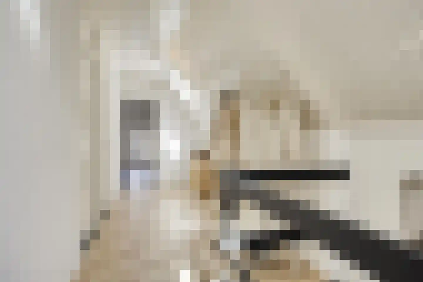 Botervatsteeg 7 Kampen thumbnail 27