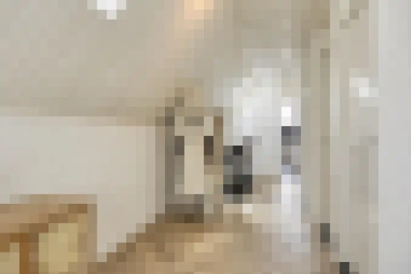 Botervatsteeg 7 Kampen thumbnail 28