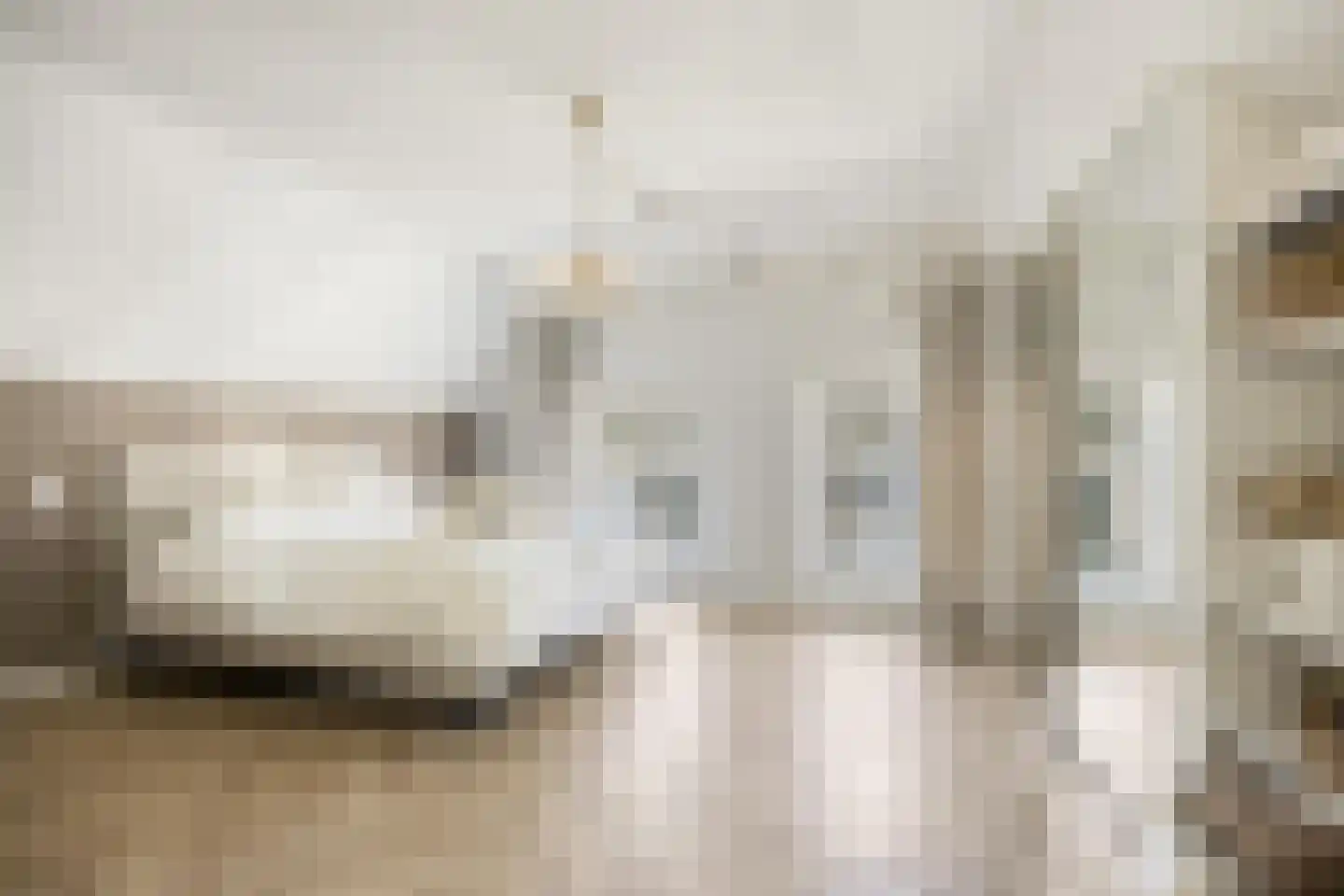 Botervatsteeg 7 Kampen thumbnail 29
