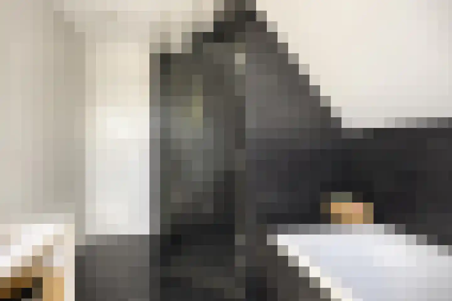 Botervatsteeg 7 Kampen thumbnail 32