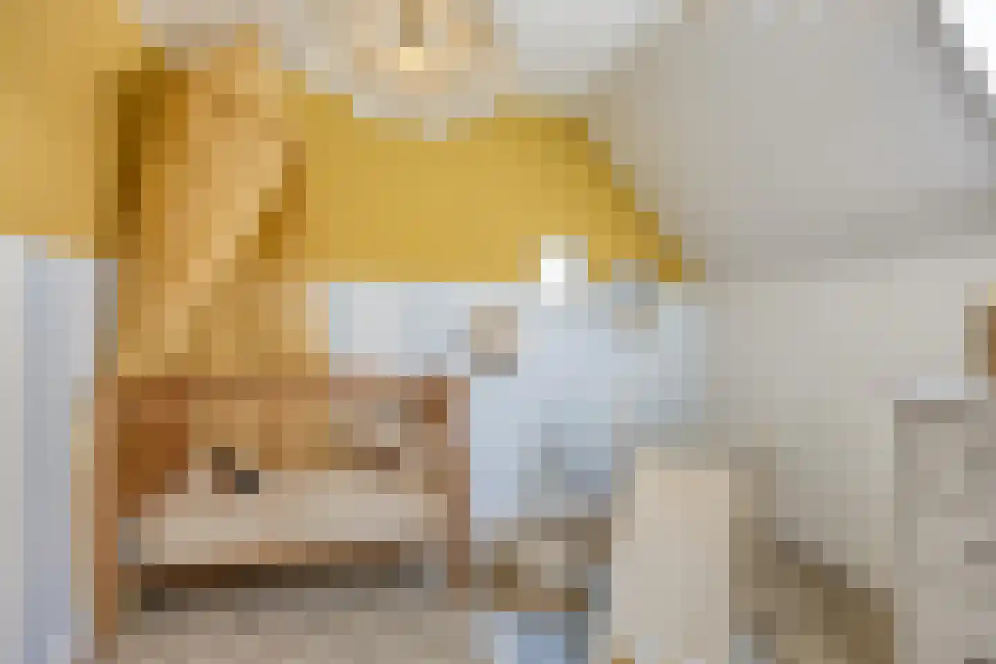 Botervatsteeg 7 Kampen thumbnail 37